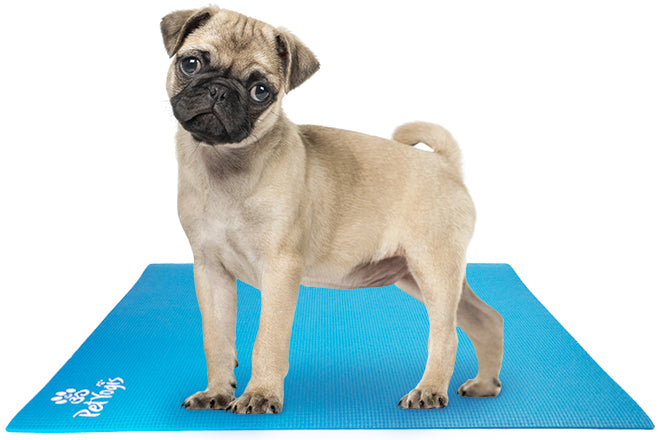 Pet Yogis - Mini Pet Yoga Mat: rectangle small