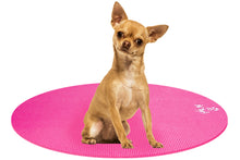 Load image into Gallery viewer, Chihuahua Dog on Round Pet Yoga Mat
