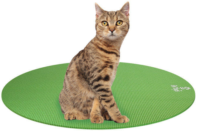 Feline Yoga Mats