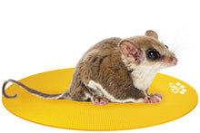 Load image into Gallery viewer, Sugar Glider on Mini Round Pet Yoga Mat