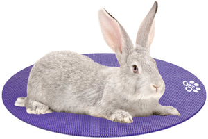 Rabbit on Mini Round Pet Yoga Mat