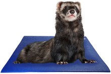 Load image into Gallery viewer, Ferret on Square Pet Yoga Mat
