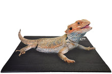 Load image into Gallery viewer, Bearded Dragon on Square Pet Yoga Mat