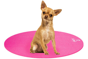 Chihuahua Dog on Round Pet Yoga Mat