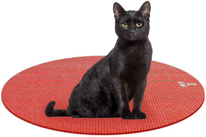 Pet Yogis - Pet Yoga Mat: round small