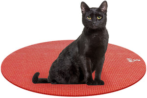 Cat on Round Pet Yoga Mat