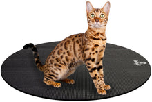 Load image into Gallery viewer, Bengal Cat on Round Pet Yoga Mat