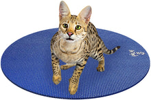 Load image into Gallery viewer, Savannah Cat on Round Pet Yoga Mat