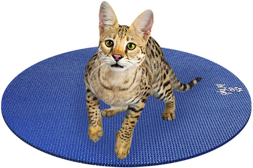 Savannah Cat on Round Pet Yoga Mat