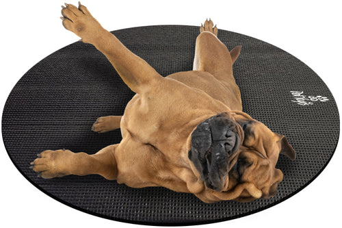 Bullmastiff Dog on Round Pet Yoga Mat
