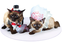 Load image into Gallery viewer, Bride and Groom Siamese Cats on White Round Wedding Pet Mat