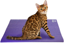 Load image into Gallery viewer, Bengal Cat on Square Pet Yoga Mat