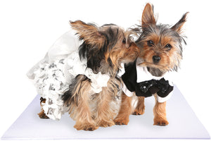 Bride and Groom Yorkshire Terrier Dogs on White Pet Wedding Mat