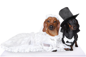 Bride and Groom Dachshund Dogs on White Pet Wedding Mat
