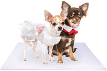 Load image into Gallery viewer, Bride and Groom Chihuahua Dogs on White Wedding Pet Mat