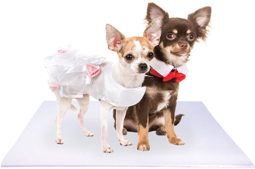 Bride and Groom Chihuahua Dogs on White Wedding Pet Mat
