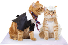 Load image into Gallery viewer, Bride and Groom Ginger Cats on White Pet Wedding Mat