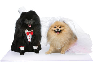 Bride and Groom Pomeranian Dogs on White Pet Wedding Mat